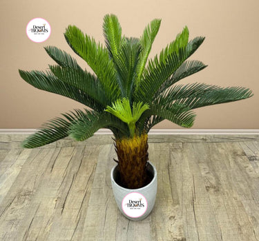 Artificial Sago Palm Indoor Plants Dubai. Potted palm plant on a wooden floor with a beige wall background
