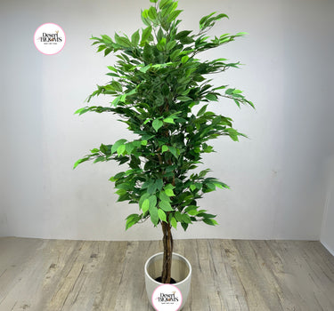 Artificial Benjamina Large 2m